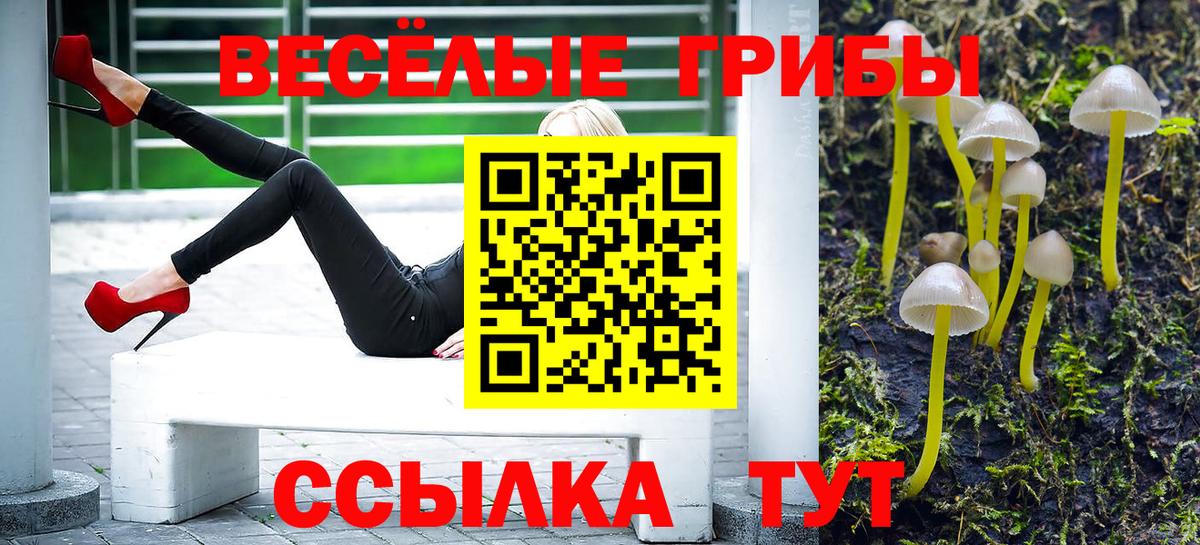 Псилоцибиновые грибы Cubensis  Вход с VPN  Горячий Ключ  Галлюциногенные грибы мухоморы 